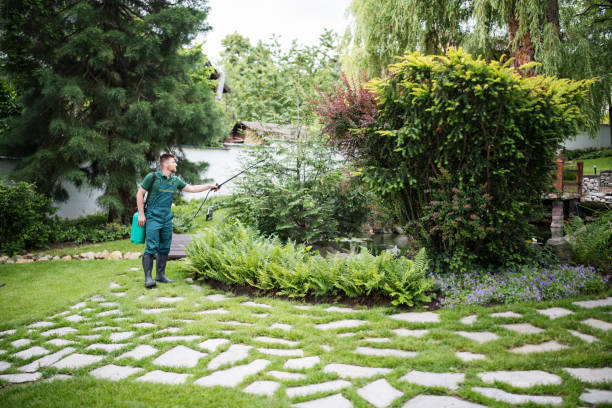Best Pest Control for Restaurants  in Broadview Heights, OH
