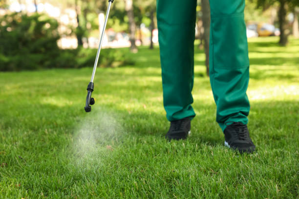Pest Control for Restaurants in Broadview Heights, OH