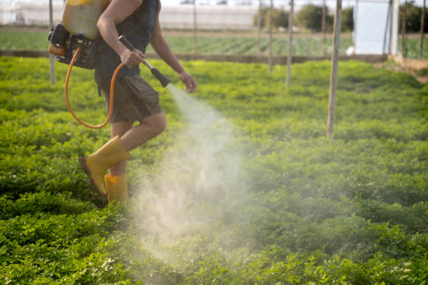 Best Affordable Pest Control Services  in Broadview Heights, OH