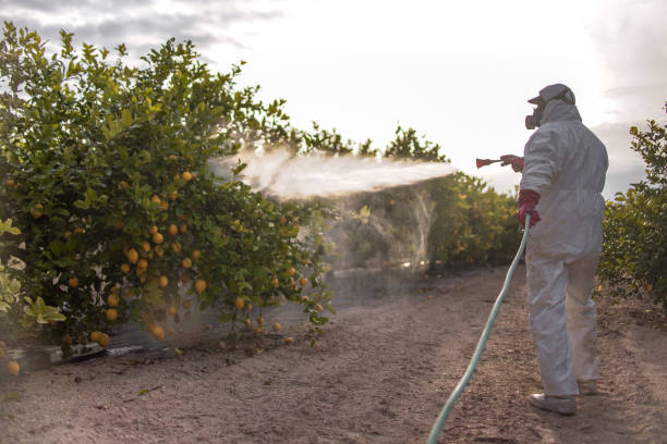 Best Local Pest Control Services  in Broadview Heights, OH