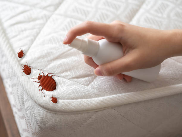 Best Best Pest Control Companies  in Broadview Heights, OH