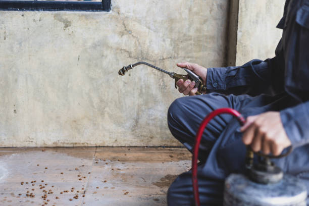 Best Exterminator Services  in Broadview Heights, OH